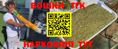 сатива Краснознаменск
