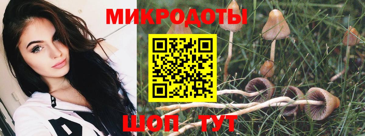 Галлюциногенные грибы Magic Shrooms Кисловодск