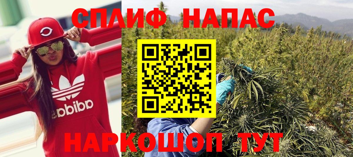 Каннабис конопля Кисловодск